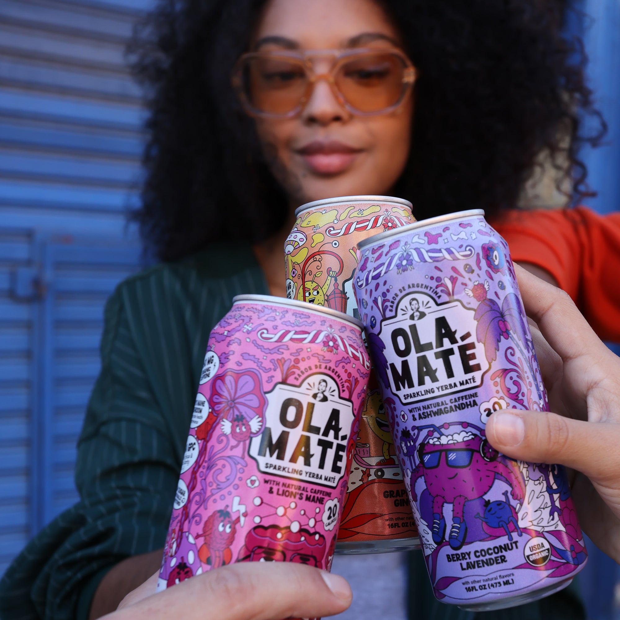 Variety Pack Sparkling Maté